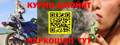 гашик Гатчина
