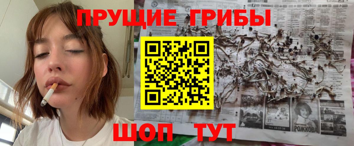 где купить   Вход с VPN  Мурманск  Галлюциногенные грибы GOLDEN TEACHER 
